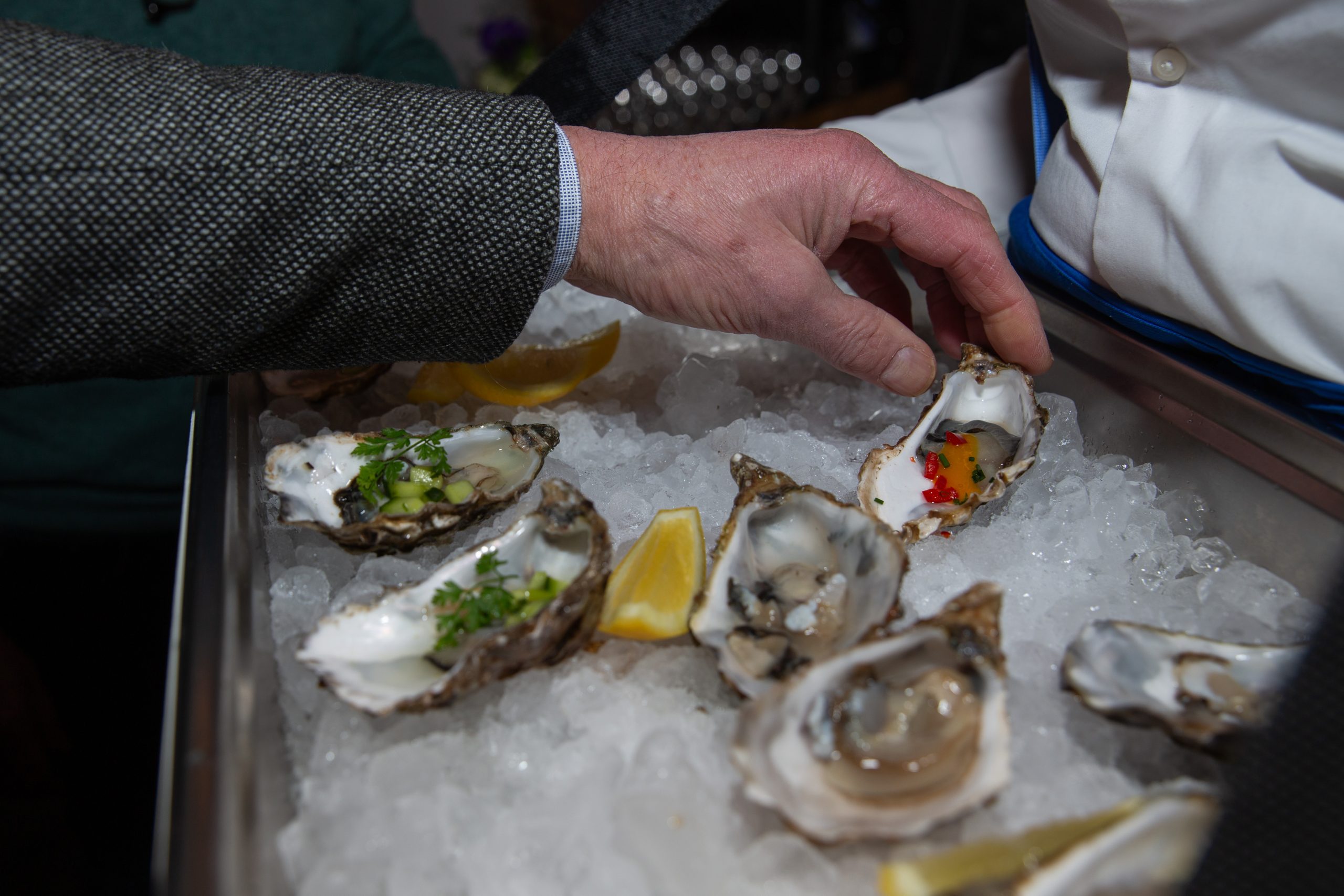 hapjes oesters